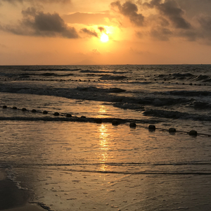 杨幂张开腿让我❌了一天
